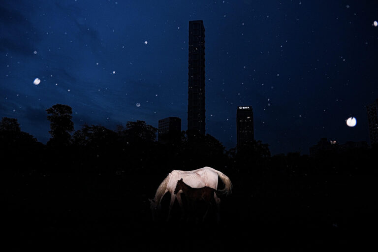 Sannidh Ray Chaudhary